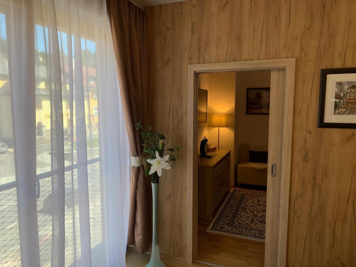 Apartment Rezidence - Javor & Wellness Železná Ruda Eksteriør billede