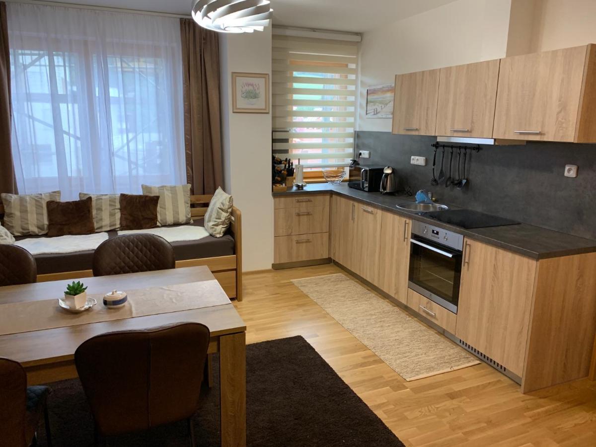 Apartment Rezidence - Javor & Wellness Železná Ruda Eksteriør billede